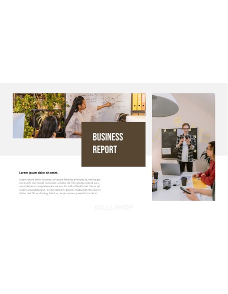 Business Analysis Report PPT Templates Design
