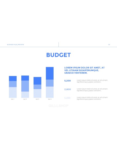 Business Plan of New Year template ppt gratis