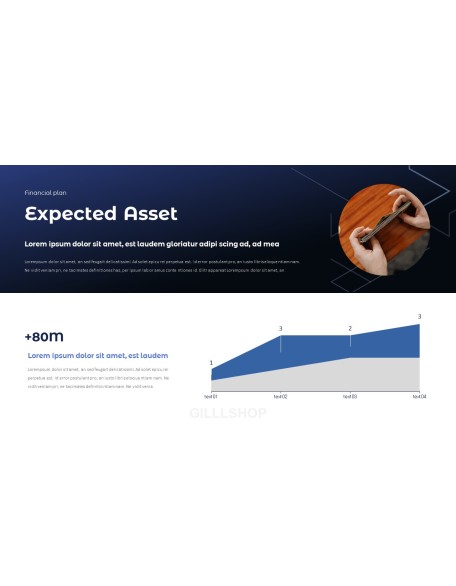 Financial Plan presentation slides ppt