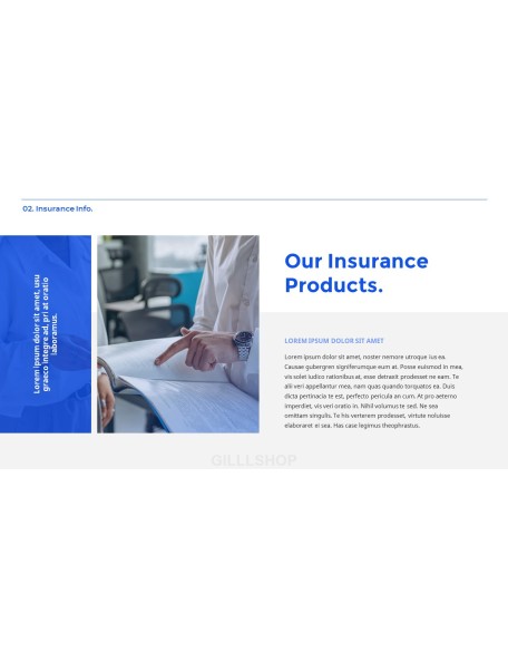 Insurance Service model ppt presentation