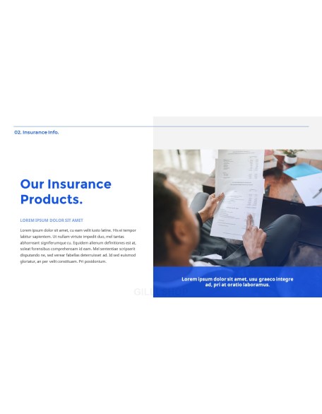 Insurance Service model ppt presentation
