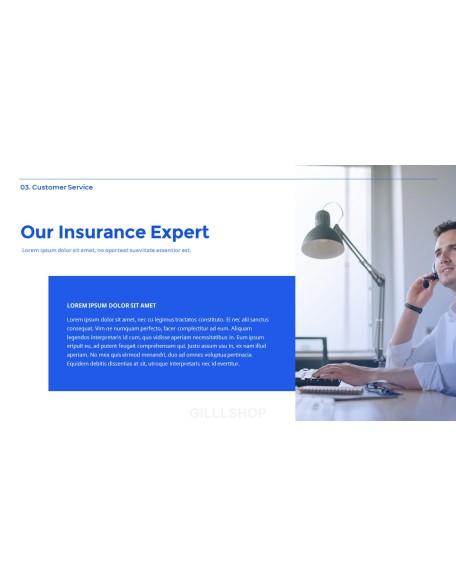Insurance Service model ppt presentation