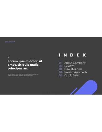 New Business PPT Model