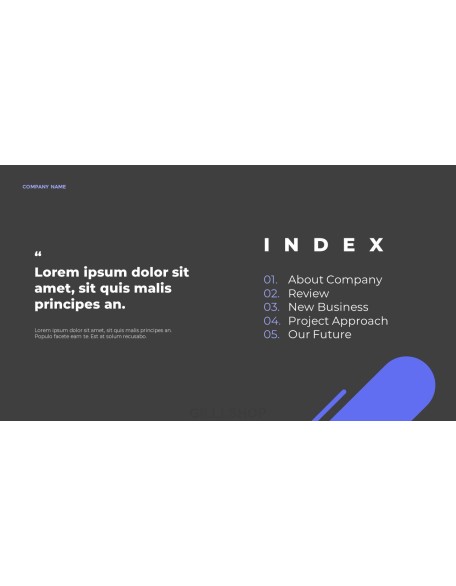 New Business PPT Model