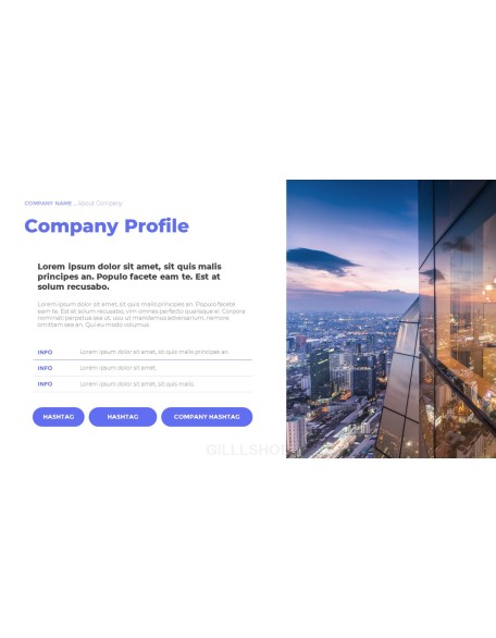 New Business PPT Model