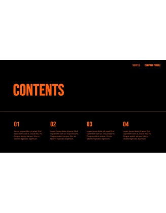 Company Profile model ppt presentation