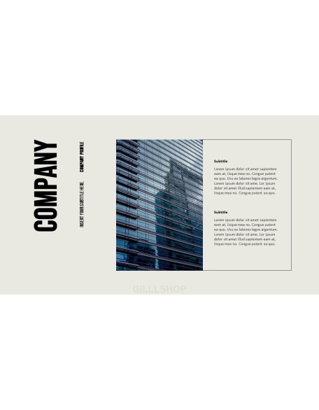 Company Profile model ppt presentation