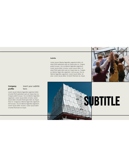 Company Profile model ppt presentation