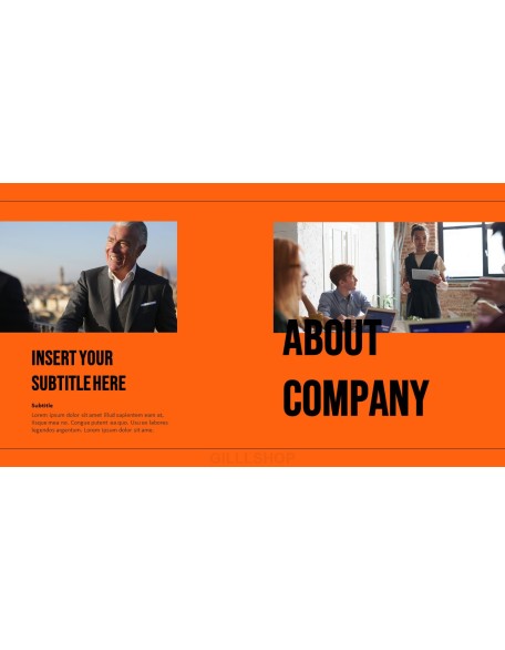 Company Profile model ppt presentation