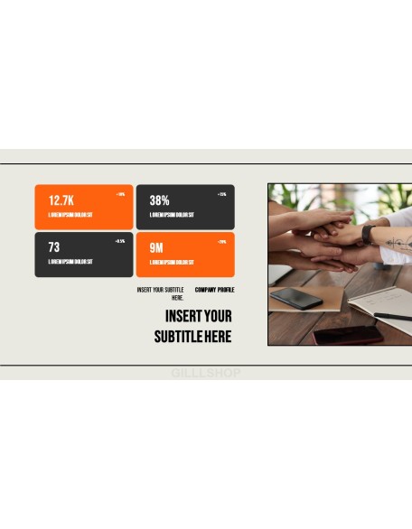 Company Profile model ppt presentation