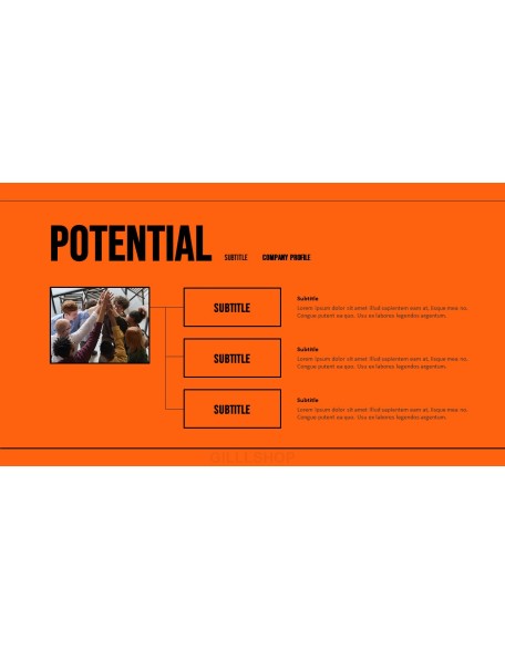 Company Profile model ppt presentation