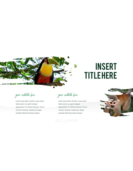 Viva Brazil PowerPoint Presentation Templates