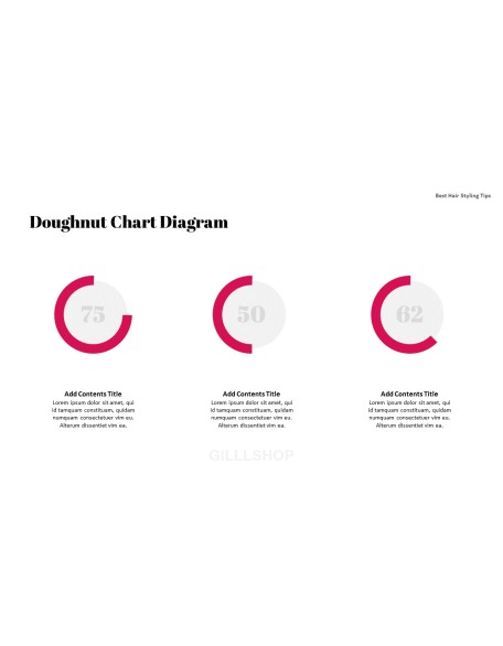 Best Hair Styling Tips PowerPoint Format