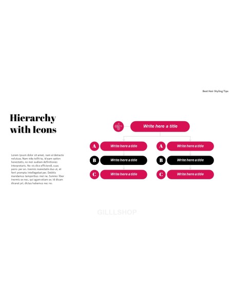 Best Hair Styling Tips PowerPoint Format