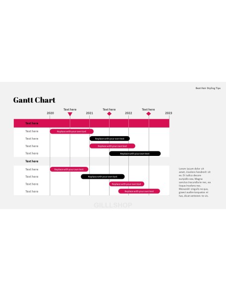 Best Hair Styling Tips PowerPoint Format