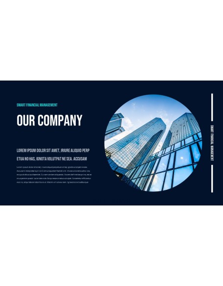 Smart Financial Management Professional PPT