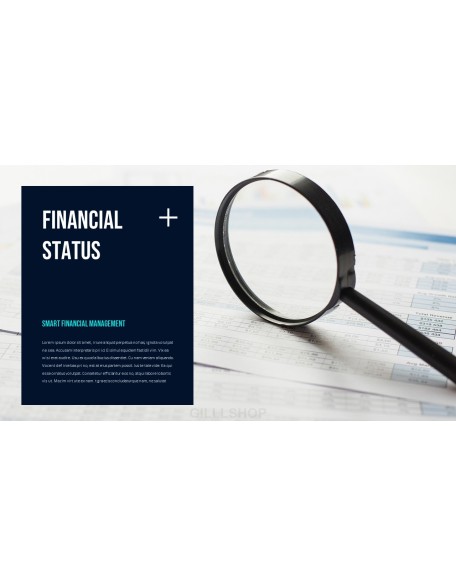 Smart Financial Management Professional PPT