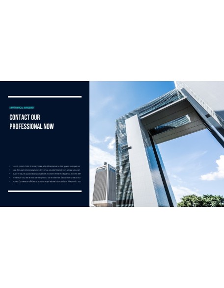 Smart Financial Management Professional PPT
