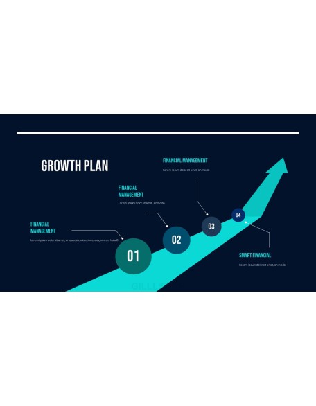 Smart Financial Management Professional PPT