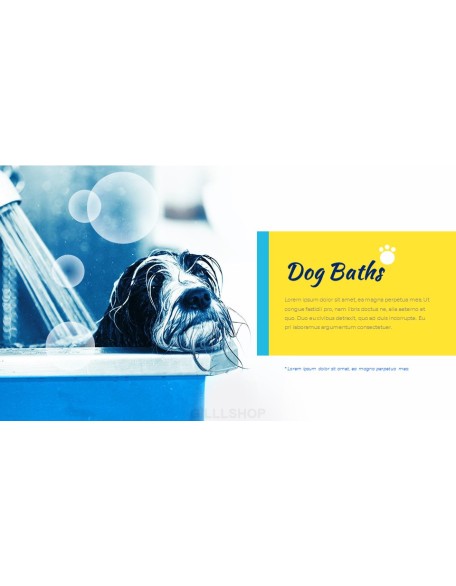 Pet Salon Easy PPT Template