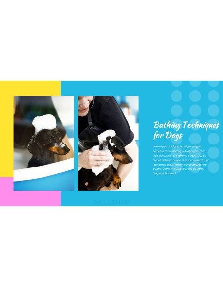 Pet Salon Easy PPT Template