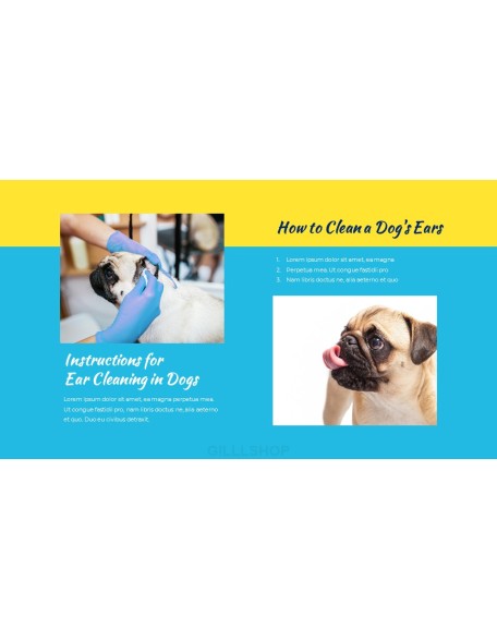 Pet Salon Easy PPT Template