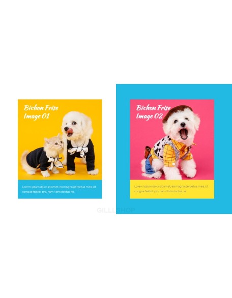 Pet Salon Easy PPT Template