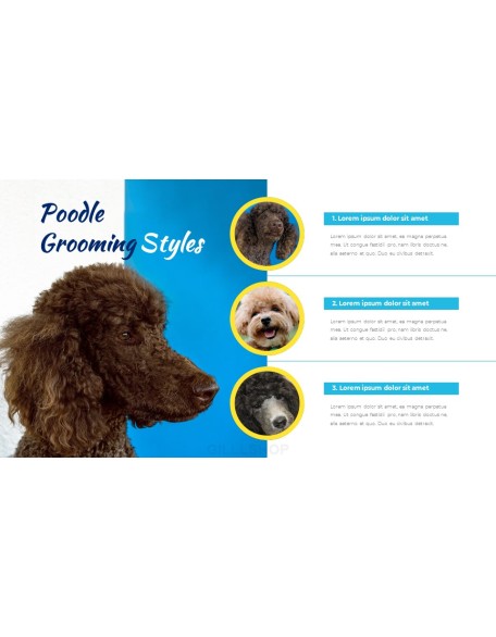 Pet Salon Easy PPT Template