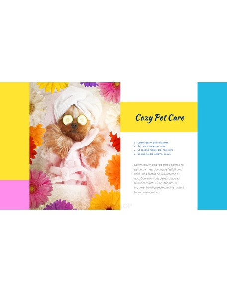 Pet Salon Easy PPT Template