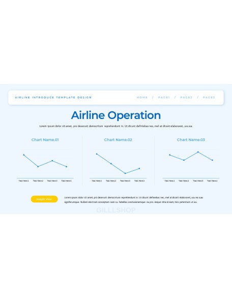 Airline business presentation template