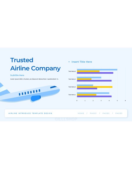 Airline business presentation template