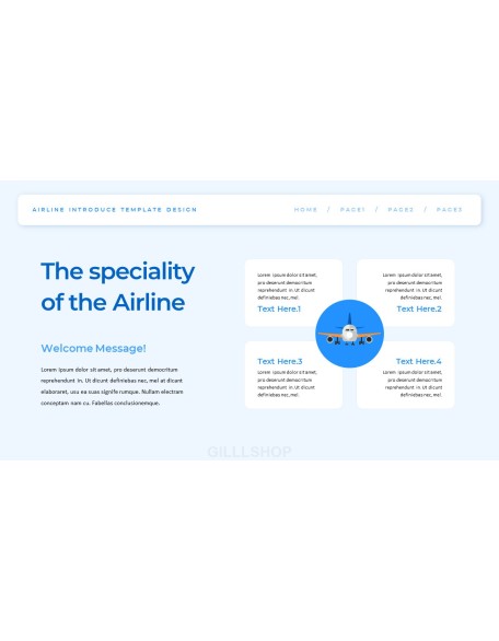 Airline business presentation template