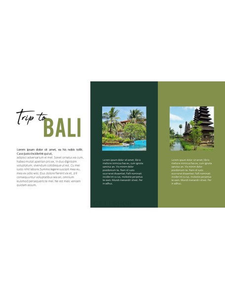 Trip to Bali Presentation PowerPoint Templates Design