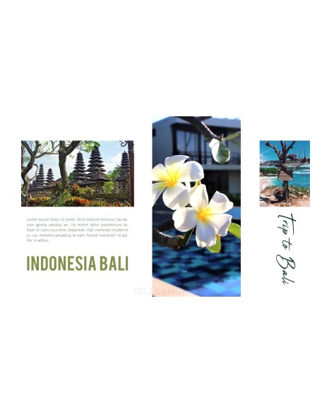 Trip to Bali Presentation PowerPoint Templates Design