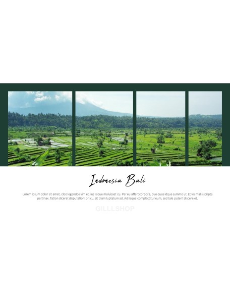 Trip to Bali Presentation PowerPoint Templates Design