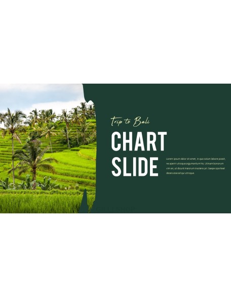 Trip to Bali Presentation PowerPoint Templates Design