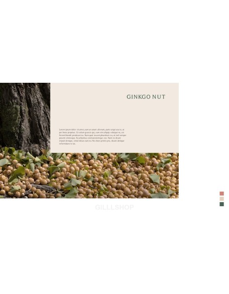 AUTUMN Best PowerPoint Templates