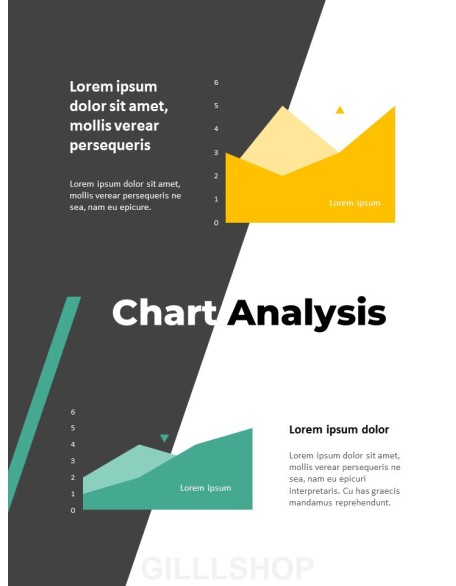 Professional Business Report Presentation