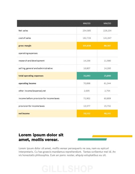 Professional Business Report Presentation