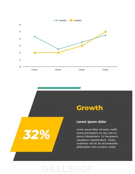 Professional Business Report Presentation