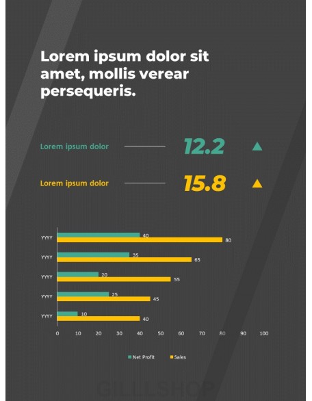 Professional Business Report Presentation