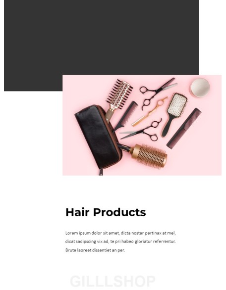 Hair Shop Easy PPT Template