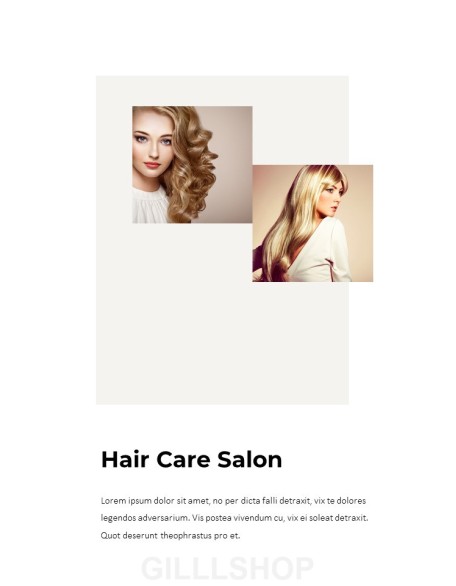 Hair Shop Easy PPT Template