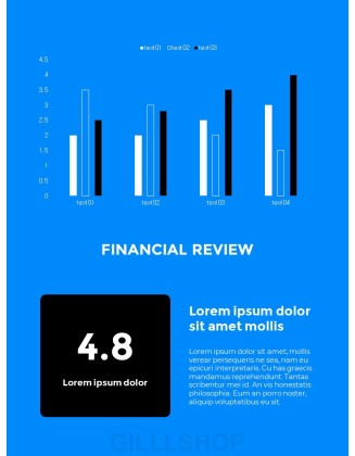 Company Profile Report Business Presentation PPT