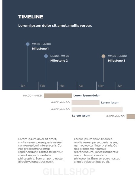 Business Plan Vertical template powerpoint