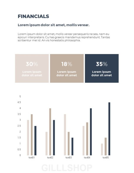 Business Plan Vertical template powerpoint