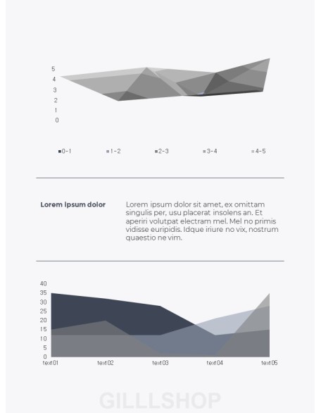 Graphic Design Agency Portfolio Best PowerPoint Presentation