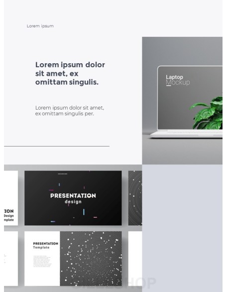 Graphic Design Agency Portfolio Best PowerPoint Presentation