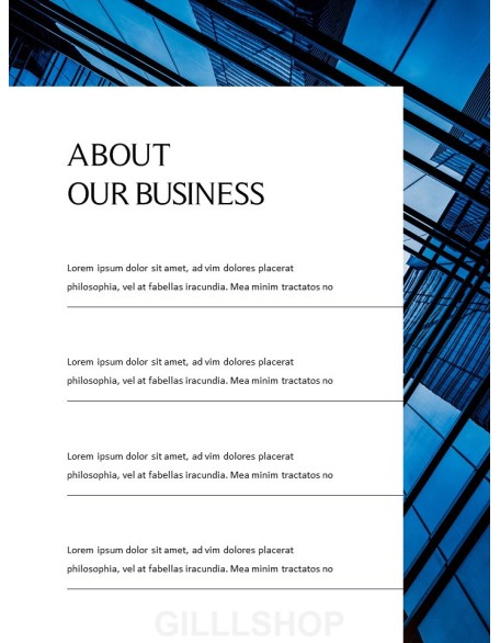 Business Template Professional PPT