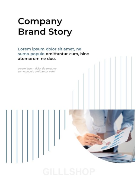 Our Company Business Report Action plan PPT